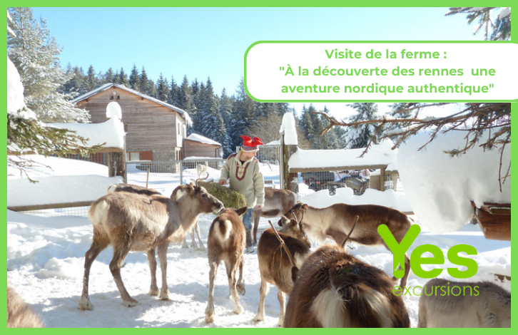 Visite de la ferme des rennes